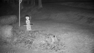 Chata Myslivna SKP Olomouc - Běžecký lyžařský areál Nová Ves - horní část - 18.12.2025 v 04:30