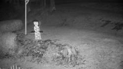 Běžecký lyžařský areál Nová Ves - horní část