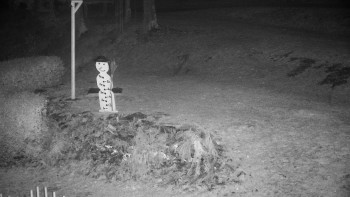 Chata Myslivna SKP Olomouc