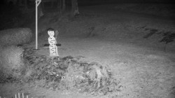 Běžecký lyžařský areál Nová Ves - horní část