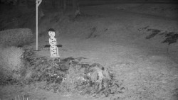 Běžecký lyžařský areál Nová Ves - horní část