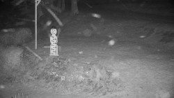 Běžecký lyžařský areál Nová Ves - horní část