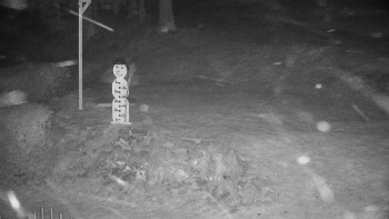 Chata Myslivna SKP Olomouc