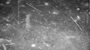 Chata Myslivna SKP Olomouc