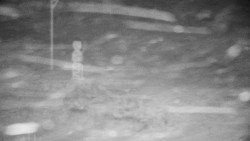 Běžecký lyžařský areál Nová Ves - horní část