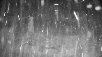 Chata Myslivna SKP Olomouc