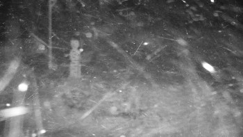 Chata Myslivna SKP Olomouc