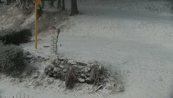 Běžecký lyžařský areál Nová Ves - horní část