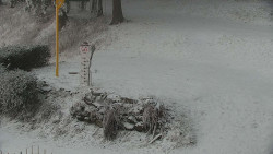 Běžecký lyžařský areál Nová Ves - horní část