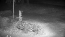 Běžecký lyžařský areál Nová Ves - horní část