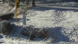 Běžecký lyžařský areál Nová Ves - horní část