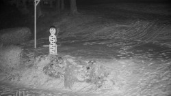 Běžecký lyžařský areál Nová Ves - horní část