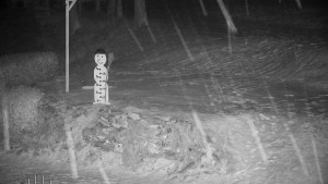 Chata Myslivna SKP Olomouc - Běžecký lyžařský areál Nová Ves - horní část - 28.12.2025 v 03:00