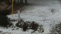 Běžecký lyžařský areál Nová Ves - horní část