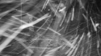 Chata Myslivna SKP Olomouc