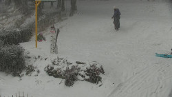 Běžecký lyžařský areál Nová Ves - horní část