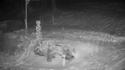 Běžecký lyžařský areál Nová Ves - horní část