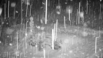 Chata Myslivna SKP Olomouc