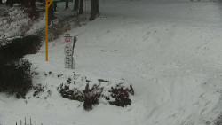 Běžecký lyžařský areál Nová Ves - horní část