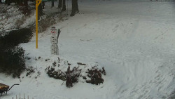 Běžecký lyžařský areál Nová Ves - horní část