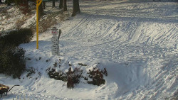 Běžecký lyžařský areál Nová Ves - horní část