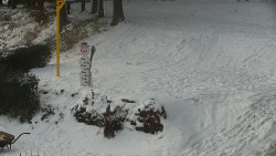 Běžecký lyžařský areál Nová Ves - horní část