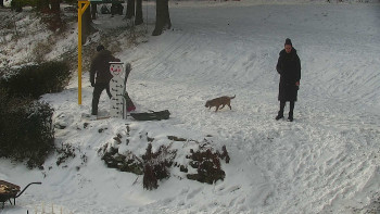 Chata Myslivna SKP Olomouc