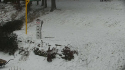 Běžecký lyžařský areál Nová Ves - horní část