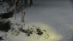 Běžecký lyžařský areál Nová Ves - horní část