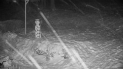 Běžecký lyžařský areál Nová Ves - horní část