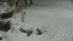 Běžecký lyžařský areál Nová Ves - horní část