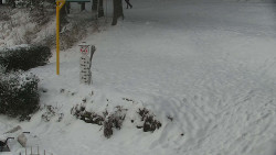 Běžecký lyžařský areál Nová Ves - horní část