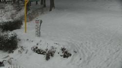 Běžecký lyžařský areál Nová Ves - horní část