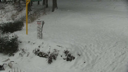 Běžecký lyžařský areál Nová Ves - horní část