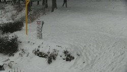 Běžecký lyžařský areál Nová Ves - horní část