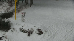 Běžecký lyžařský areál Nová Ves - horní část