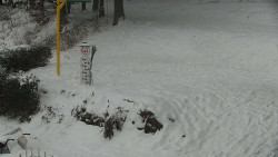 Běžecký lyžařský areál Nová Ves - horní část