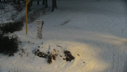 Běžecký lyžařský areál Nová Ves - horní část