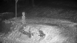 Běžecký lyžařský areál Nová Ves - horní část