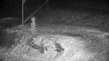 Chata Myslivna SKP Olomouc