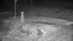 Běžecký lyžařský areál Nová Ves - horní část