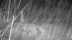 Běžecký lyžařský areál Nová Ves - horní část