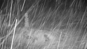 Chata Myslivna SKP Olomouc