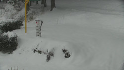 Běžecký lyžařský areál Nová Ves - horní část