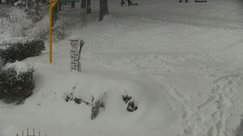 Chata Myslivna SKP Olomouc