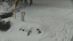 Běžecký lyžařský areál Nová Ves - horní část