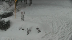 Běžecký lyžařský areál Nová Ves - horní část