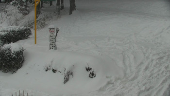 Chata Myslivna SKP Olomouc