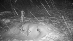 Běžecký lyžařský areál Nová Ves - horní část