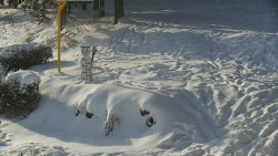 Běžecký lyžařský areál Nová Ves - horní část